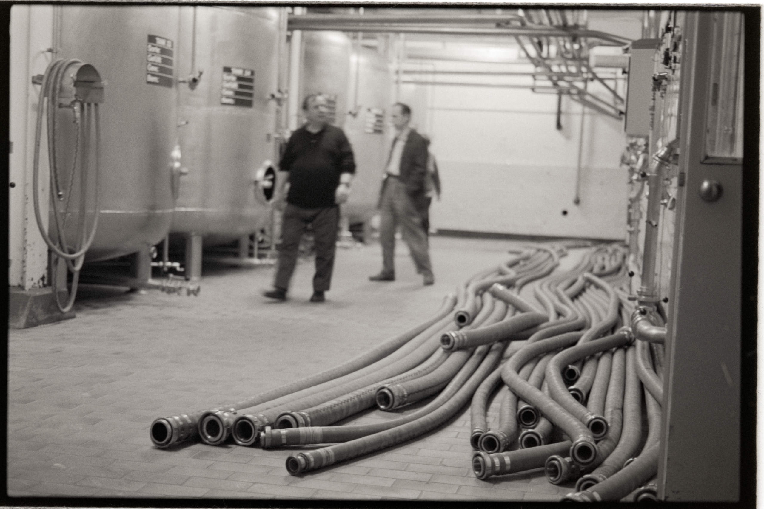 AHP FilmScan 240731 0763